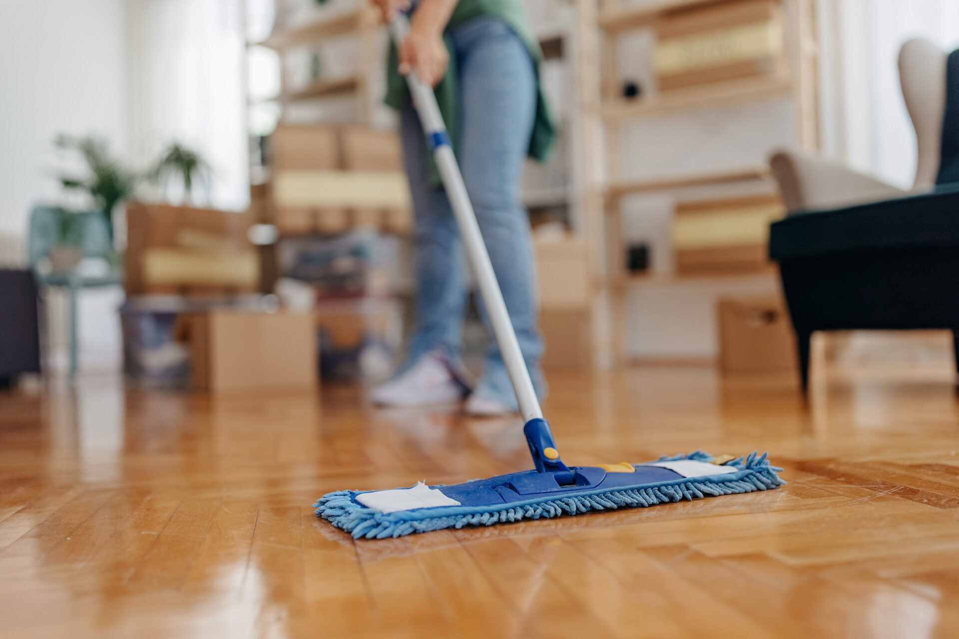 Move Cleaning