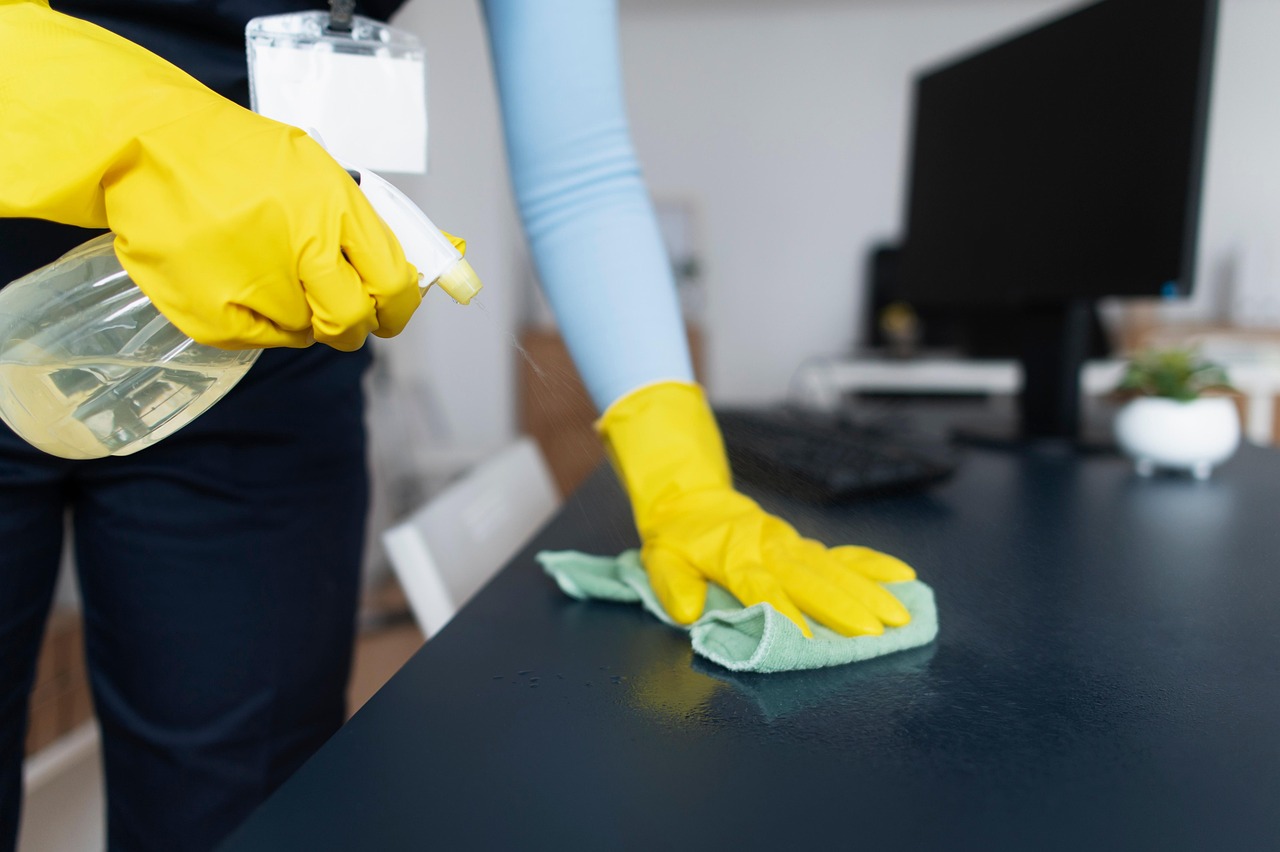 Regular Home Cleaning